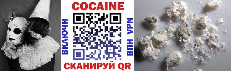 Купить где  Орск  КОКАИН Fish Scale 