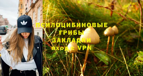 jwh Горняк