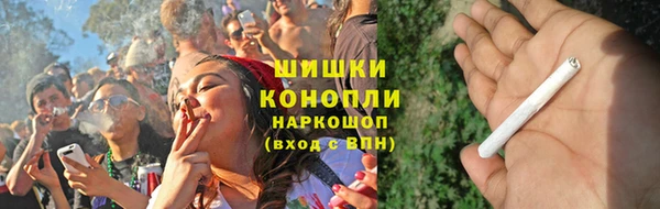 мдпв Гусев