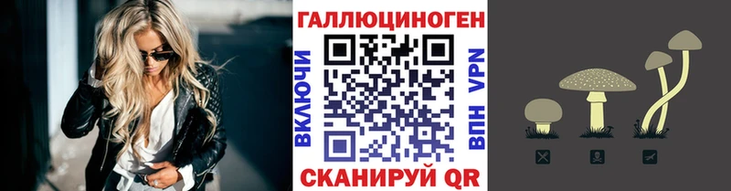 Псилоцибиновые грибы Psilocybine cubensis  Купить  Орск 